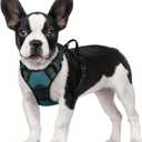 Rabbitgoo Dog Harness No Pull with 2 Leash Clips, Adjustable Soft Padded, Reflective Oxford No Choke Pet Vest with Easy Control Handle for Small Dogs, Blue Coral, S