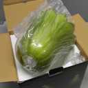 FULEN Battery Operated Wall Sconce with Green Tulip Glass Lampshade Wireless Sconces 10000mAh Rechargeable Battery Powered Wall Light with Remote Control for Vintage Decor Bedside Bedroom Livingroom