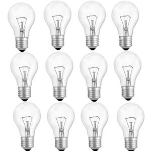 100 Watt Incandescent Light Bulbs, A19 Clear Incandescent Rough Service Light Bulb,A19 100 WATT Incandescent Bulb Shatter Resistant Rough Service Light Bulb 100 WATTS A19 Shape (12Pack)