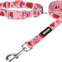 azuza Dog Collar and Leash Set, Collar Nylon and Matching Leash for Small Dogs, Strawberry