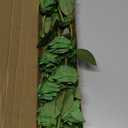 Hananona Artificial Roses Flowers for St. Patrick's Day12 Pcs Silk Green Rose Bouquet for Spring Home Decoration, Green Faux Roses for Wedding