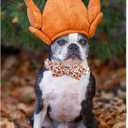 Elegant little tail Tanksgiving Dog Collar, Turkey Print Dog Collar Orange Pet Collars with Bowtie Metal Buckle Cotton Girls Boys Adjustable Pet Collars for Large Dogs (Large (Pack of 1))