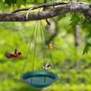 Antique Outdoor Garden Hanging Bird Bath, 16 inch Heavy Duty BirdBath Bowl Only with Chains, Hanging Bird Feeder for Backyard Decor Green