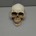 READAEER Resin Skull, Human Head Model for Home Decoration, Halloween Statue, Skull Model for Bookshelf and Desktop (White)