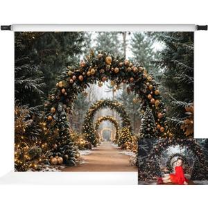 Kate Christmas Arch Backdrops for Photography Outdoor Forest Xmas Archway Party Decor Winter Photo Background, 7x5ft