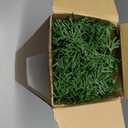 16 Pcs Artificial Norfolk Pine Branches - Real Touch Pine Stems Fake Plants Pine Picks Faux Greenery Stems for Vase DIY Crafts Garland Wreath Christmas Indoor Outdoor Home Decor