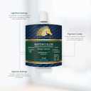 MyArtscape Watercolor Paint Set - 24 x 12ml Tubes - Lightfast - Vibrant Colors - Excellent Transparency - Kit for Vivid Watercolors Painting - Professional Artist Paint Supplies (9.6 Fl Oz (Pack of 1))