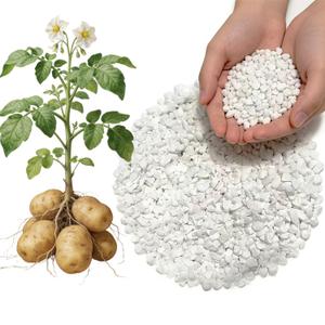 1lb Potash Fertilizer 0-0-50, Sulfate of Potash Indoor Plant Fertilizer, Potassium Fertilizer, Plant Food for Houseplants, Fruit, Flower, Tomato, Promote Large Flower Blooming & Fruit Growth