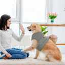 BRKURLEG Chest Recovery Suit for Dogs, Dog Chest Wound Cover, Breathable & Soft Pet Surgery Recovery Suit, Anti-Licking Wound Vest, Not for Spay/Neuter Surgeries, Pet Cone Alternative, Grey XL
