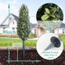36inch Boxwood Topiary with Ground Spike, Artificial Plants Outdoor with Stake (Set of 2)