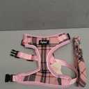 PUPTECK Soft Mesh Dog Harness and Leash Set Pet Puppy Cat Adjustable Reflective Padded Vest No Pull Harnesses, Pink, M