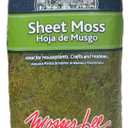 Mosser Lee ML0460 Natural Green Sheet Moss  325 sq. in.  Organic Decorative Moss for Terrariums, Planters, Crafts & Moisture Retention