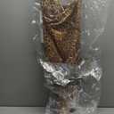 Adrianna Papell Women's Printed Chiffon Long Dress, US Size 10