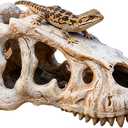 Bearded Dragon Basking Platform, Fish Tank Decorations, Reptile Resin Dinosaur Skull Decor, Reptile Tank Accessories, Dinosaur Fossil Hideout for Snake, Fish, Hermit Crabs, Geckos