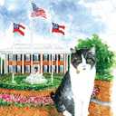Pack of 2, Veto, The Governor's Cat