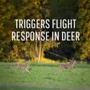 Safer Brand Deer-Off Deer Repellent Stations - 6 Waterproof Repelling Stakes for Gardens and Lawns - All Season Protection - 5962 - 6 Pack