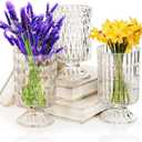 Goaste 3 Pack Embossed Big Base Vase, 7" Crystal Glass Vase, Hydroponic Green Plant Vases, Transparent Flower Vases with Ribbed Pattern for Wedding, Dining Table Centerpieces, Home Decor, Office