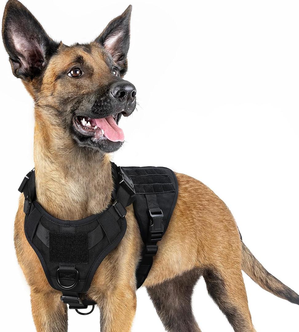 rabbitgoo Tactical Dog Harness for Small, Heavy Duty Pet Harness with Handle, No-Pull Service Vest Small Breed, Adjustable Military Dog Vest for Training Hunting Walking, Black, Small