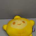 Northwest Disney Wish Cloud Pillow 17 inch