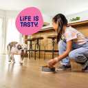 Kibbles n Bits Bistro Mini Bits Small Breed Dry Dog Food, Oven Roasted Beef, Spring Vegetable and Apple Flavors for Adult Dogs, 3.5 lb. Bag (Pack of 4) (EXP 06/05/27)