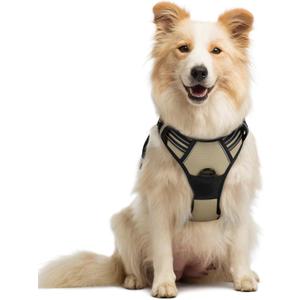 rabbitgoo Dog Harness No Pull with 2 Leash Clips, Adjustable Soft Padded, Reflective Oxford No Choke Pet Vest with Easy Control Handle for Medium Sized Dogs, Beige, M