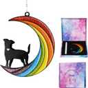 Sinops Metal Rainbow Bridge Dog Memorial Gifts, Loss of Dog Sympathy Gifts, Pet Memorial Gifts for Lost Dogs, Passing Away Memory Ornaments for Dog Lovers, Pet Bereavement Gifts for Window Hanging