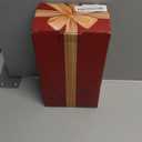 Cardinal Snow Globe Christmas Decorations Lantern, Glittering Lighted Plug-in, 3 AA Battery Operated & USB Powered, Cardinal Snow Globe Lantern for Christmas Home Decoration and Gift