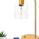 Gold Industrial Table Lamp with 2 USB Ports, Elizabeth Vintage Desk Lamp with Glass Shade, Stepless Dimmable Bedside Reading Lamp for Bedroom Living Room Office, LED Nightstand Lamp with E26 Bulb