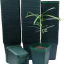 RooTrimmer Square Seedling Nursery Pots 3.15 Inches 100 Pcs for Small Succulents or Cacti Flower Plastic Pots Sturdy Reusable (Green, 3.14Inches,100Pcs)