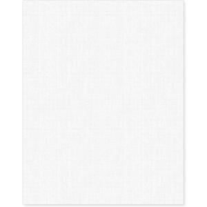 Linen Textured Cardstock White 100 Sheets 80 lb Cover, 8.5 x 11 Inches for Printers, Invitation, Arts and Craft, Scrapbook, DIY Projects