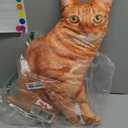 Maomoto 19.6'' Cat Throw Pillow  Plushie Cushion Doll 3D Simulation Cat Plush Stuffed Animal Cushion Pillow Toy for Kids, Sofa Chair Home Decor (Orange)