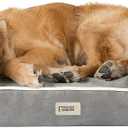 Friends Forever X-Large Dog Bed, Orthopedic Dog Sofa Memory Foam Mattress, Calming Dog Couch Bed, Wall Rim Pillow, Water Resistant Liner, Washable Cover, Non-Slip Bottom, Chester, X-Large Grey (44.0"L x 34.0"W x 10.0"Th, Chester Grey)