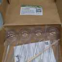 Generic Oil Glass Manual Burners Transparent for Family (8Pack)