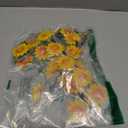EBOOT 5 Pcs Flower Headband Daisy Wreath Headband Hippie Floral Crown for Festival Wedding Bridal Party(Yellow)