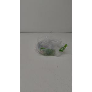 OXO Good Grips 2 Cup Smart Seal Glass Round Food Storage Container, Clear, 1 Count (Pack of 1)