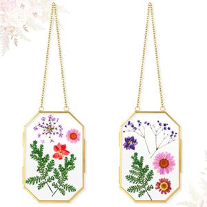 Qunclay 2Pcs Pressed Flower Frames Floating Wall Hanging Double Glass Frames with Metal Chain for Display Dried Plant Specimen Picture Pretty Gifts for Mom Friends DIY Handy Craft(Gold,5 x 7 Inch)