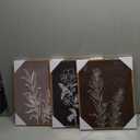 Drsoum Vintage Flower Wall Art Retro Floral Wall Hanging Decor Rustic Farmhouse Colorful Botanical Prints Artwork for Bathroom Dining Room Kitchen 11x14in Black Framed