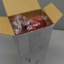 8 Pcs Large Christmas Flower Magnolia Flowers Christmas Tree Decoration Artificial Poinsettia Stems Velvet Xmas Ornaments for Xmas Tree Table Decor(Burgundy,12 Inch)