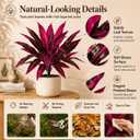 2pack Large Artificial Boston Fern & Dragon’s Blood Tree Plants, 21" UV Dragon Blood Tree Artificial, Vibrant Pink Purple Lifelike Fake Plants for Porch Patio Garden Balcony Decor