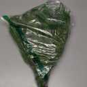 HyeFlora 19 Inch Christmas Norfolk Pine Stems, 12PCS Real Touch Faux Cedar Pine with 5PCS Big Pine Cones Branches, Artificial DIY Greenery Stems Plastic Picks for Vase Indoor Outdoor Home Garden Dcor