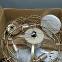 20 Inch Gold Caged Ceiling Fan with Light, Flower Chandelier Ceiling Fan with Lights Remote Control, Frower Crystal Fandelier 6 Speeds for Girl's Bedroom, Living Room