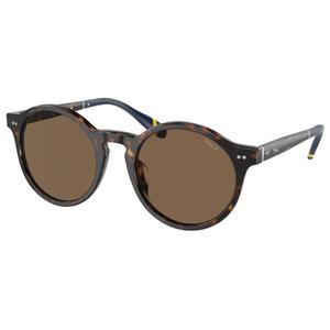 Polo PH 4204U Sunglasses