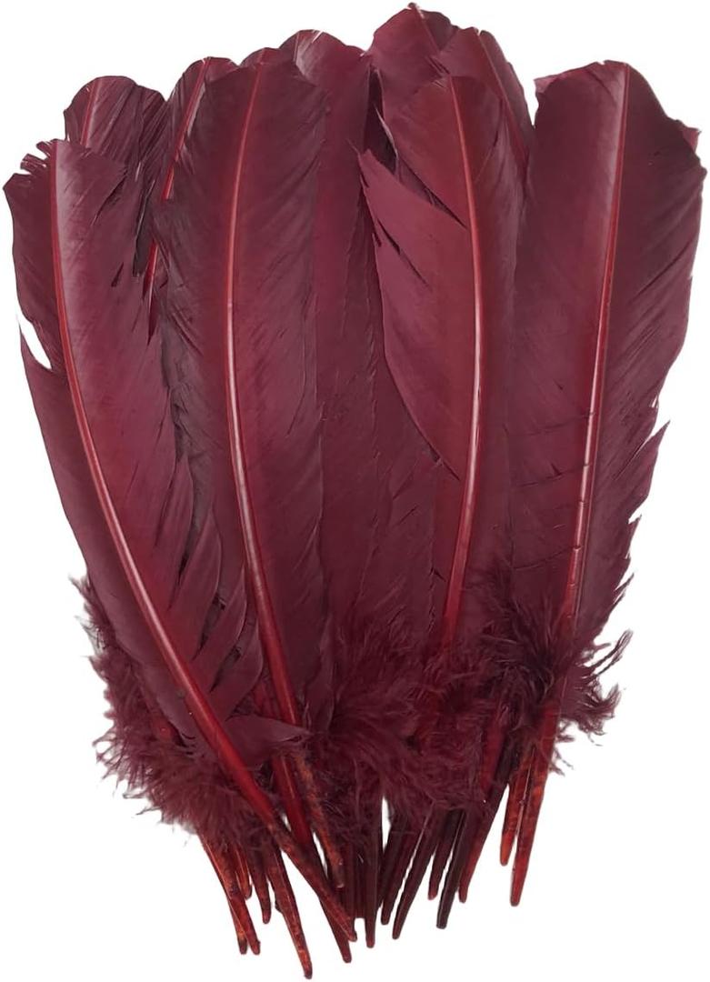 24Pcs Burgundy Turkey Feathers 10~12 inch,Beautiful Long Feather for Crafts,Bulk Big Size Bilateral Natural Feather,for Wedding Dress and Party Decoration,DIY Fabricating Handicraft Article (Burgundy)
