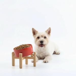 Petygooing Raised/Elevated 15Slanted Ceramic Dog Bowl for Small Breeds,Tilted Anti Slip Pet Feeding Bowl,Food Water Dish with Stand for Cats and Small Dogs Puppy 13.5 OZ (5.1In / 1.7 Cups) Rust Red