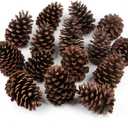 12 PineCones 3 to 4.5 Tall Bulk Package in a Protective Box All Natural, Bug Free, Large Pine Cone Ornaments Natural Pinecones Decoration for Crafts DIY Wreath Home Wedding Christmas Tree Decoration