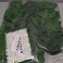 24Pcs Italian Ruscus Greenery Stems 23" Artificial Silk Greenery Plants Spray Leaves for Home Dcor
