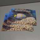 3 x Angelfish Calendar 2026 Angel Fish Monthly Wall Calender 12 Month Tropical Fish Gifts | American Made In The USA
