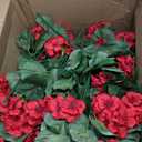 Hananona 12 Pcs Artificial Geranium Flowers for Outdoors Geranium Silk Red Flowers Outdoor UV Resistant Garden Plants Faux Flower for Christmas Home Kitchen Table Centerpieces Decor (12, Red)