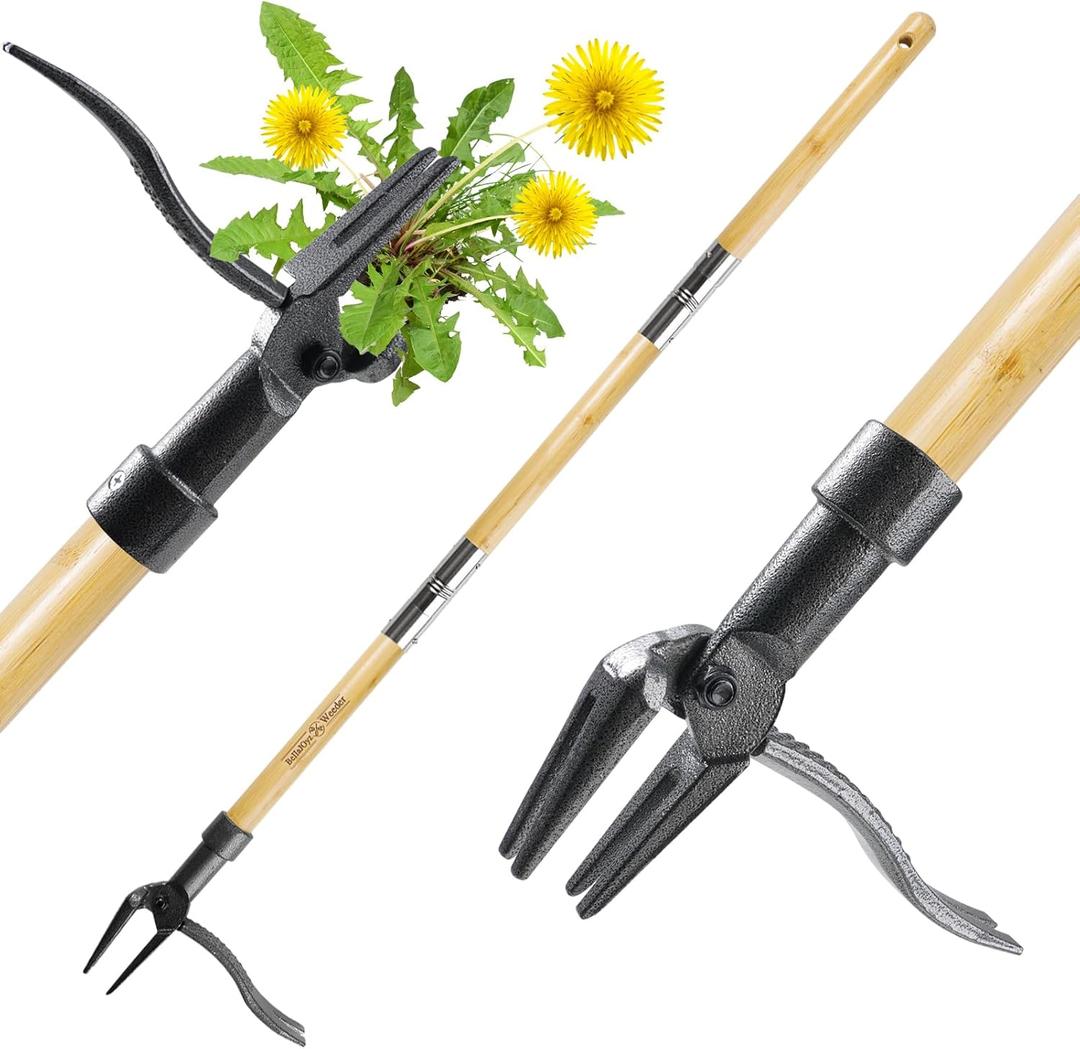 Weeder - The Original Stand Up Weed Puller Tool Made with Long Handle - Real Bamboo & 4-Claw Steel Head, Weeding Tool Weed Remove Tool for Lawn/Yard (Light Brown)