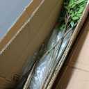 Giegxin 6ft Faux Bamboo Tree Indoor Artificial Nandina Tree Realistic Large Fake Plants Potted Planter Tall Foliage Floor Plant for Home Office Corner Room Decor Greenery Housewarming Gift(Green)